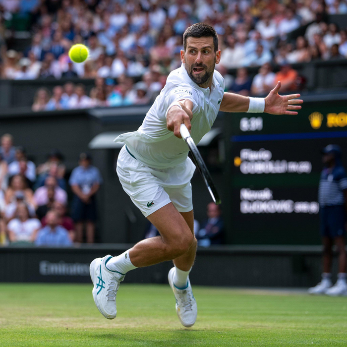 爱游戏2026-ATP总决赛横扫温网，德约科维奇刷新纪录